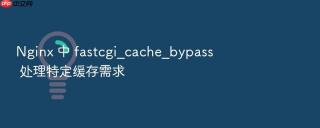nginx 中 fastcgi_cache_bypass 处理特定缓存需求