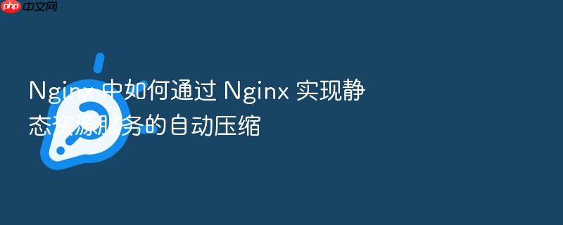 nginx 中如何通过 nginx 实现静态资源服务的自动压缩