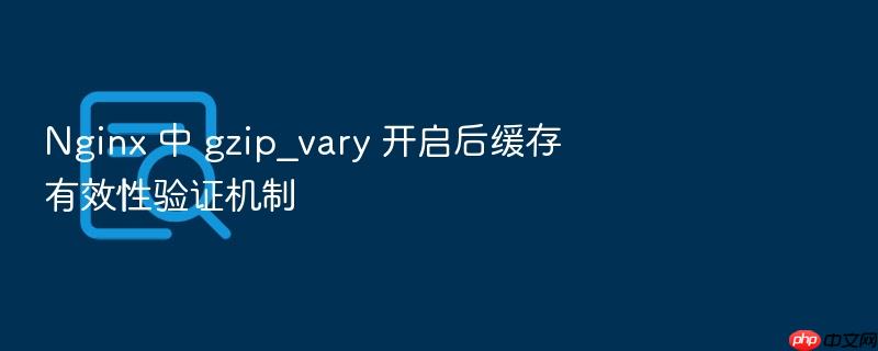 nginx 中 gzip_vary 开启后缓存有效性验证机制