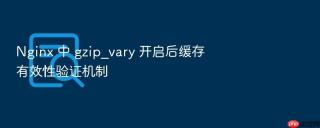 nginx 中 gzip_vary 开启后缓存有效性验证机制