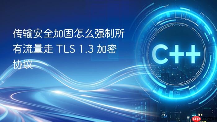 传输安全加固怎么强制所有流量走 tls 1.3 加密协议