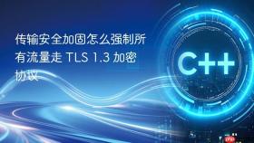 传输安全加固怎么强制所有流量走 tls 1.3 加密协议