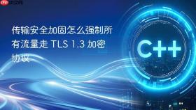 传输安全加固怎么强制所有流量走 TLS 1.3 加密协议