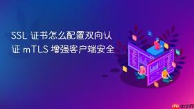 ssl 证书怎么配置双向认证 mtls 增强客户端安全