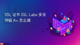 SSL 证书 SSL Labs 安全评级 A+ 怎么调
