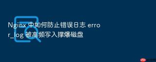 nginx 中如何防止错误日志 error_log 被高频写入撑爆磁盘