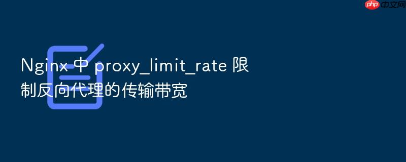 nginx 中 proxy_limit_rate 限制反向代理的传输带宽