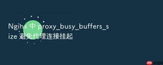 nginx 中 proxy_busy_buffers_size 避免代理连接挂起