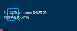 nginx 中 ssl_name 参数在 sni 转发中的核心作用