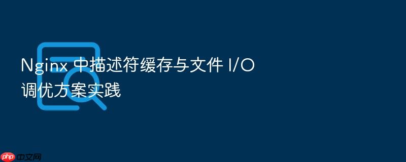 nginx 中描述符缓存与文件 i/o 调优方案实践