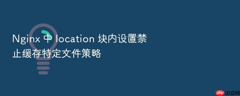 nginx 中 location 块内设置禁止缓存特定文件策略