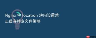 nginx 中 location 块内设置禁止缓存特定文件策略
