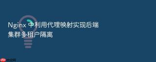 nginx 中利用代理映射实现后端集群多租户隔离