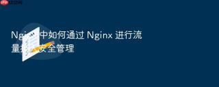 nginx 中如何通过 nginx 进行流量接入安全管理