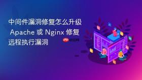 中间件漏洞修复怎么升级 Apache 或 Nginx 修复远程执行漏洞