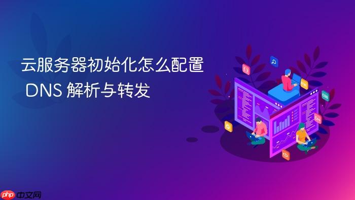 云服务器初始化怎么配置 dns 解析与转发