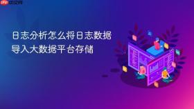 日志分析怎么将日志数据导入大数据平台存储