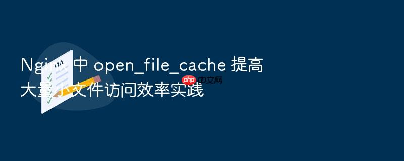 nginx 中 open_file_cache 提高大量小文件访问效率实践