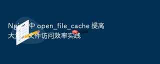nginx 中 open_file_cache 提高大量小文件访问效率实践