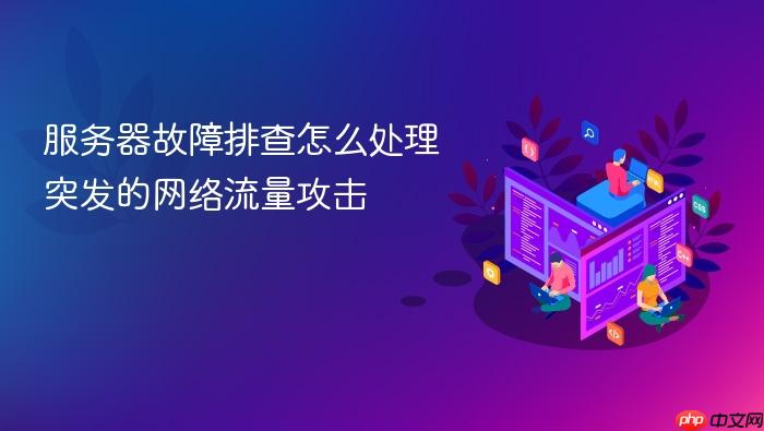 服务器故障排查怎么处理突发的网络流量攻击