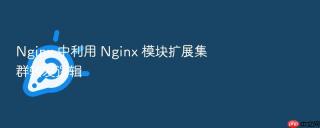 nginx 中利用 nginx 模块扩展集群转发逻辑