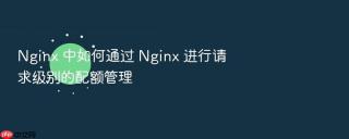 nginx 中如何通过 nginx 进行请求级别的配额管理