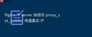 nginx 中 server 块结合 proxy_set_header 传递真实 ip