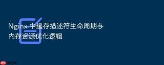 nginx 中缓存描述符生命周期与内存资源优化逻辑