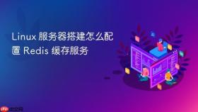 Linux 服务器搭建怎么配置 Redis 缓存服务