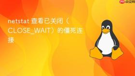 netstat 查看已关闭(close_wait)的僵死连接