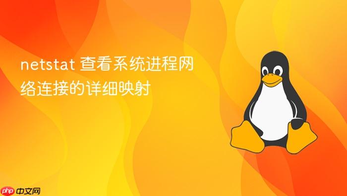 netstat 查看系统进程网络连接的详细映射