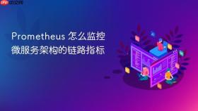 Prometheus 怎么监控微服务架构的链路指标