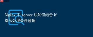 nginx 中 server 块如何结合 if 指令处理条件逻辑