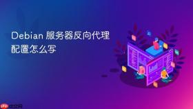 Debian 服务器反向代理配置怎么写