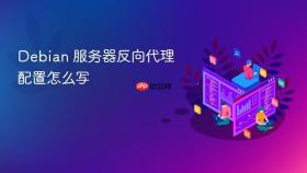debian 服务器反向代理配置怎么写