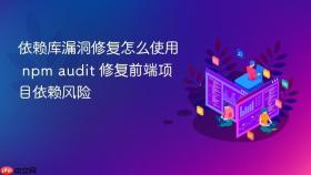 依赖库漏洞修复怎么使用 npm audit 修复前端项目依赖风险