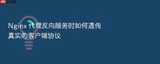 nginx 代理反向服务时如何透传真实的客户端协议