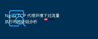nginx tcp 代理环境下对流量执行的特征码分析