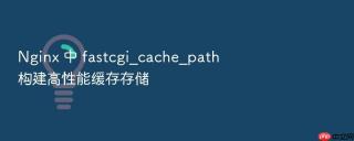 nginx 中 fastcgi_cache_path 构建高性能缓存存储