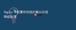 nginx 中配置状态码拦截以实现降级处理