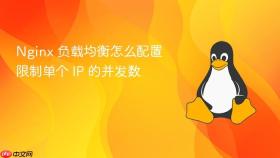 nginx 负载均衡怎么配置限制单个 ip 的并发数