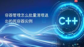 容器管理怎么批量清理退出的死容器实例