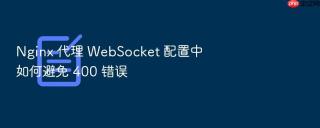 nginx 代理 websocket 配置中如何避免 400 错误