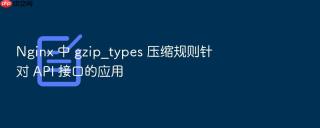 nginx 中 gzip_types 压缩规则针对 api 接口的应用