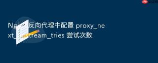 nginx 反向代理中配置 proxy_next_upstream_tries 尝试次数