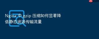 nginx 中 gzip 压缩如何显著降低静态资源传输流量