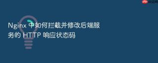 nginx 中如何拦截并修改后端服务的 http 响应状态码