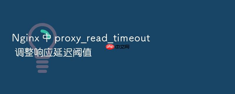 nginx 中 proxy_read_timeout 调整响应延迟阈值