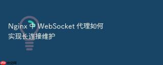 nginx 中 websocket 代理如何实现长连接维护