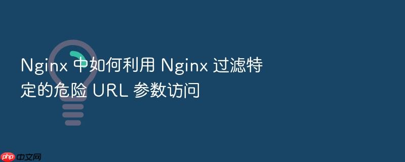 nginx 中如何利用 nginx 过滤特定的危险 url 参数访问
